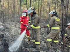 Hutan Belantara Bukit Daeng Tembesi Terbakar