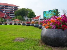 BP Batam: Penataan Pot Bougenville Perkuat Estetika Kota Tanpa Bebani Keuangan Negara