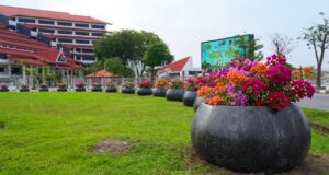 BP Batam: Penataan Pot Bougenville Perkuat Estetika Kota Tanpa Bebani Keuangan Negara