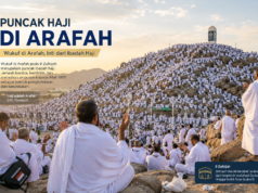 Puncak Haji Dimulai, Jutaan Jamaah Haji Bergerak Menuju Arafah