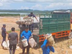 Progres Pergeseran Warga Rempang Eco-City, 242 Kepala Keluarga Tempati Hunian Baru Layak Huni