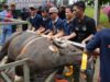 Semarak Idul Adha 1447 Hijriah, BP Batam Sembelih 33 Hewan Kurban Tingkatkan Kepedulian Sosial