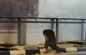 Nekat Beraksi di Tengah Malam, Pencuri Besi Drainase Kawasan Revitalisasi Terowongan Pelita Diamankan Polisi
