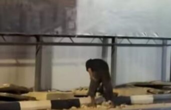 Nekat Beraksi di Tengah Malam, Pencuri Besi Drainase Kawasan Revitalisasi Terowongan Pelita Diamankan Polisi