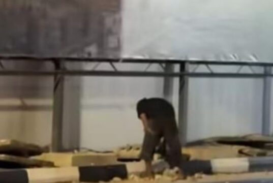 Nekat Beraksi di Tengah Malam, Pencuri Besi Drainase Kawasan Revitalisasi Terowongan Pelita Diamankan Polisi