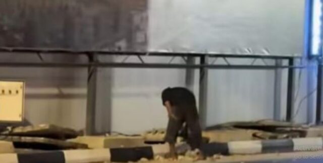 Nekat Beraksi di Tengah Malam, Pencuri Besi Drainase Kawasan Revitalisasi Terowongan Pelita Diamankan Polisi