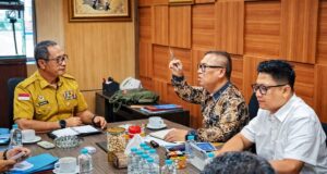 Wagub Nyanyang Usulkan Percepatan Pemerataan Digital, 207 Lokasi Blankspot di Kepri