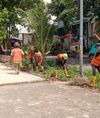 Tingkatkan Keandalan Listrik di Senjulung, PLN Batam Percepat Pembangunan Gardu Baru Dalam Upaya Pengamanan Peningkatan Beban