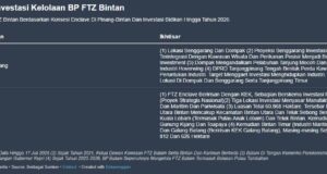 Investor Data Centre Borong Lahan, Batam Terdongkrak Tarif Listrik Kompetitif