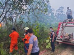 Kebakaran Lahan 1,9 Hektare di Bintan Dipadamkan