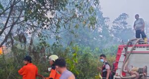 Kebakaran Lahan 1,9 Hektare di Bintan Dipadamkan
