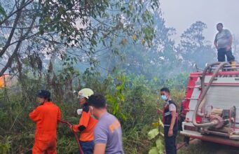 Kebakaran Lahan 1,9 Hektare di Bintan Dipadamkan