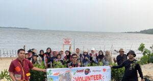 Aksi Peduli Lingkungan: Relawan Rumah Zakat, Gaskan, dan PPDL Tanam 500 Bibit Mangrove di Pulau Dompak